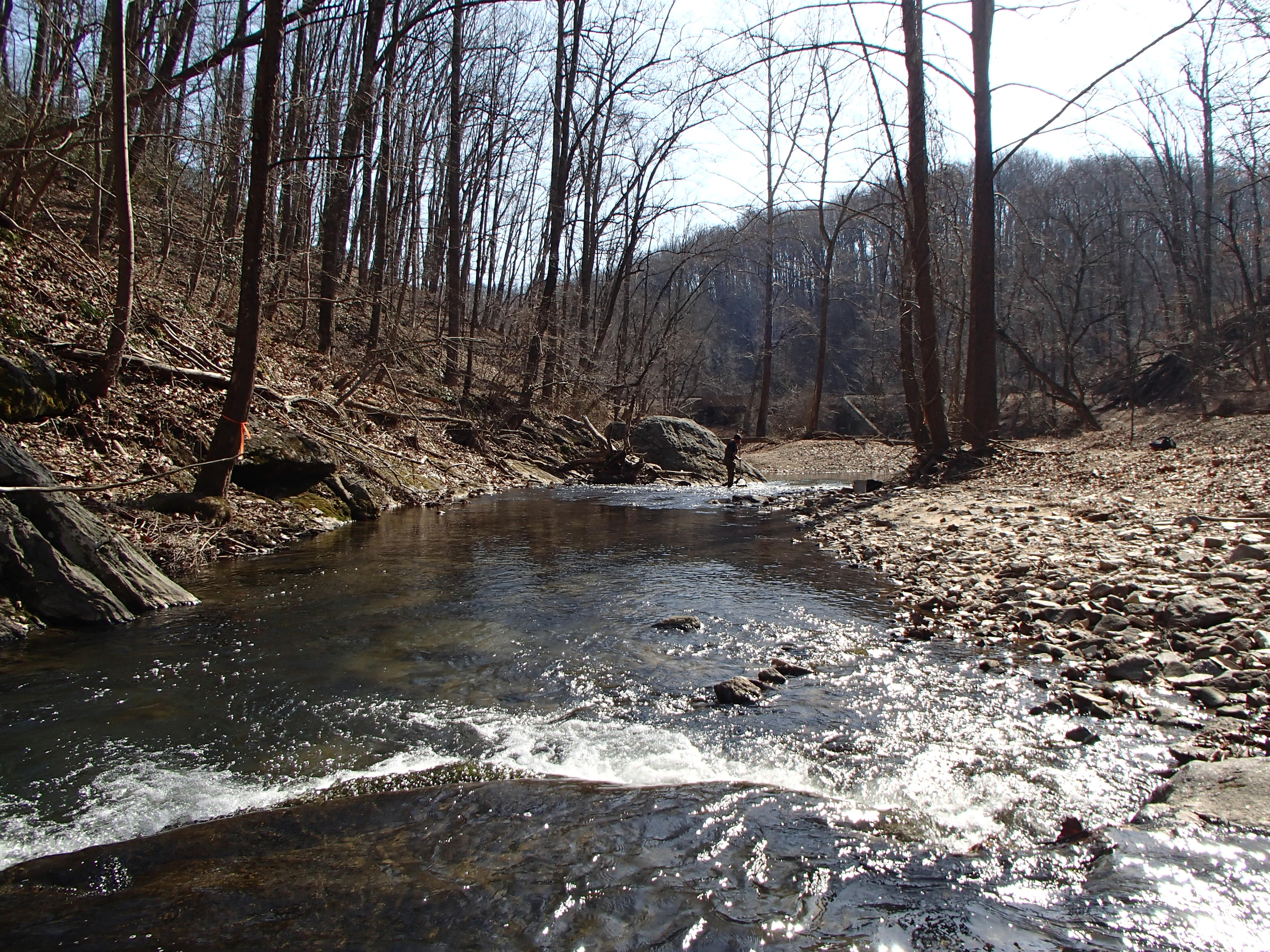 Field photo showing stream conditions at site PATL-213-X-2016_midpoint looking downstream